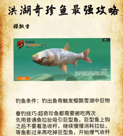 《欢乐钓鱼大师》洪湖最后两条鱼在哪