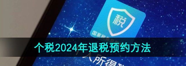 个人所得税2024年退税预约方法