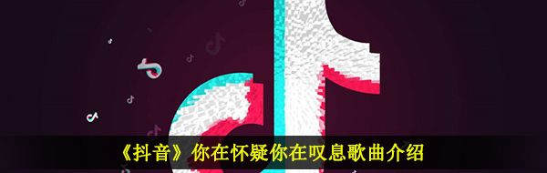 《抖音》你在怀疑你在叹息歌曲介绍