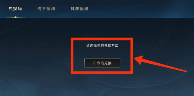 英雄联盟手游兑换码教程图三